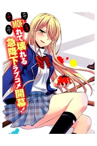 Bìa truyện Watari-kun no xx ga Houkai Sunzen