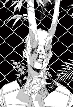 Bìa truyện Fool Night