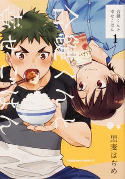 Bìa truyện Aikagi-kun to Shiawase Gohan