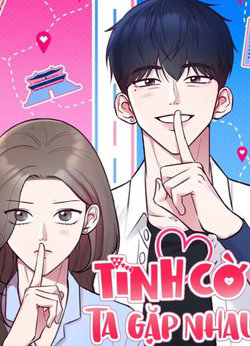 Bìa truyện Tình Cờ Ta Gặp Nhau