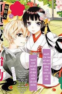 Bìa truyện Chàng rể giả nhân giả nghĩa