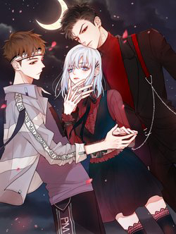 Bìa truyện Đêm Ngày Không Dứt