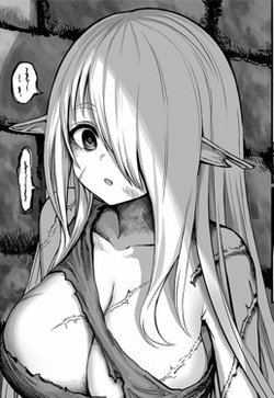 Bìa truyện Boroboro no Erufu-san o shiawaseni suru kusuri uri-san