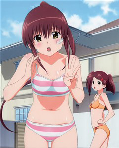 Bìa truyện Kiss X Sis