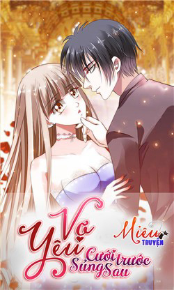 Bìa truyện Vợ yêu cưới trước sủng sau
