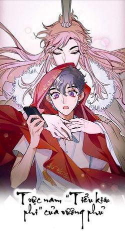 Bìa truyện Trực nam tiểu kiều phi của vương phủ