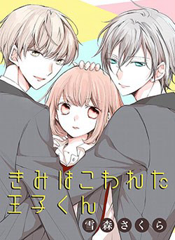 Bìa truyện Kimi wa Kowareta Ouji-kun
