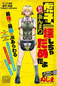 Bìa truyện Torako, Anmari Kowashicha Damedayo