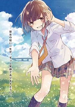 Bìa truyện Nidome No Natsu, Nidoto Aenai Kimi