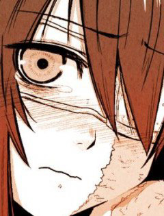 Bìa truyện Story of a Certain Burned Girl