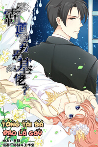 Bìa truyện Tổng Tài Bá Đạo Là Gay