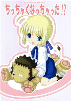 Bìa truyện Chén thánh: Đêm Định Mệnh - Tổng hợp Doujinshi