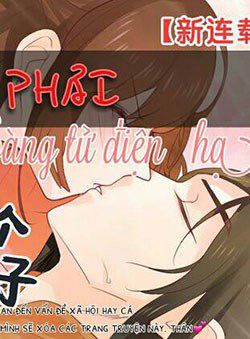 Bìa truyện Ta chọc phải hoàng tử điện hạ