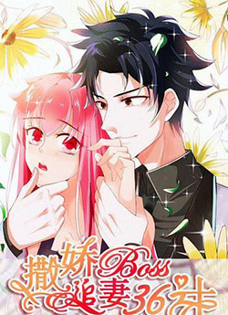 Bìa truyện 36 kế theo đuổi vợ yêu