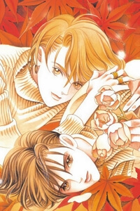 Bìa truyện Nàng Tiên Ánh Trăng - Kaguya Hime