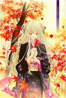 Bìa truyện Byakuya Zaushi