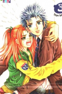 Bìa truyện Cáo Già Gặp Sói Điên