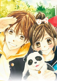 Bìa truyện Hachimitsu ni Hatsukoi