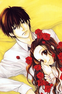 Bìa truyện Bara to Zirconia