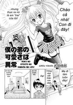 Bìa truyện Boku no Otouto no Kawaisa wa Ijou