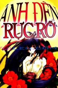 Bìa truyện Ánh đèn rực rỡ