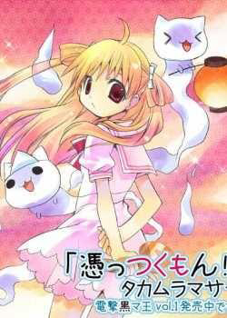 Bìa truyện Tsuttsukumon